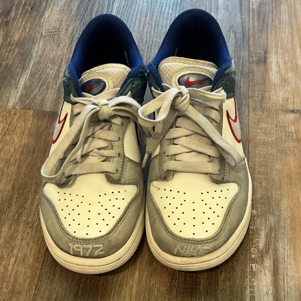 Nike Dunks Low Kids White and Gray Sneakers with Red Swoosh